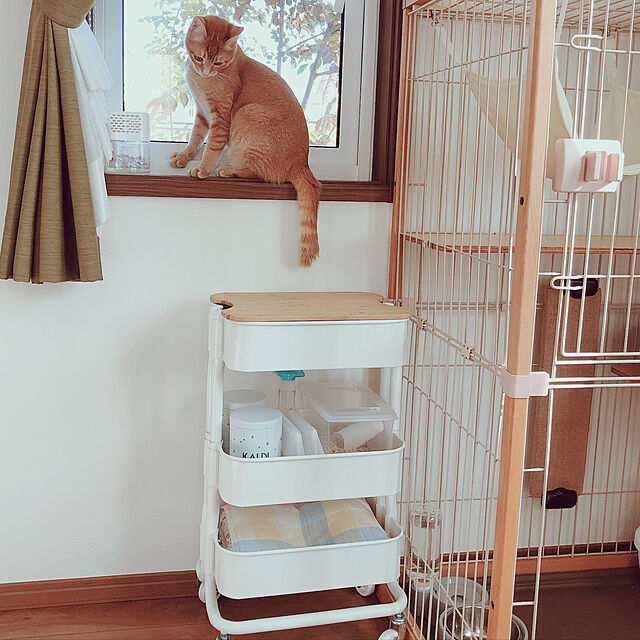 Mekoo 3~5営業日以内に配送猫 ケージ キャットケージ 2段 木製