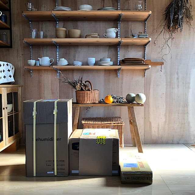 hashimaのrecolte-レコルト Dihumidifier 部屋干し除湿器の家具・インテリア写真