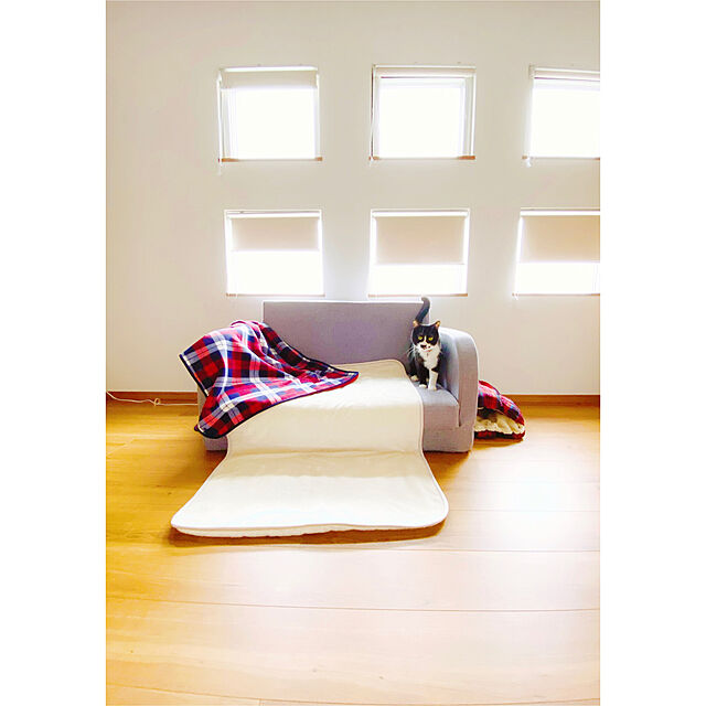 star..のニトリ-電気敷き毛布(o NT-40S) の家具・インテリア写真