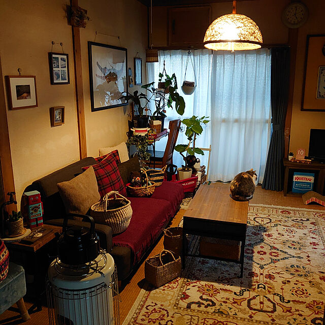 fukuの萩原-ＲＡＫＫＡＳ（ラッカス） ウィルトンラグ １６０×２２５ｃｍ m12523の家具・インテリア写真