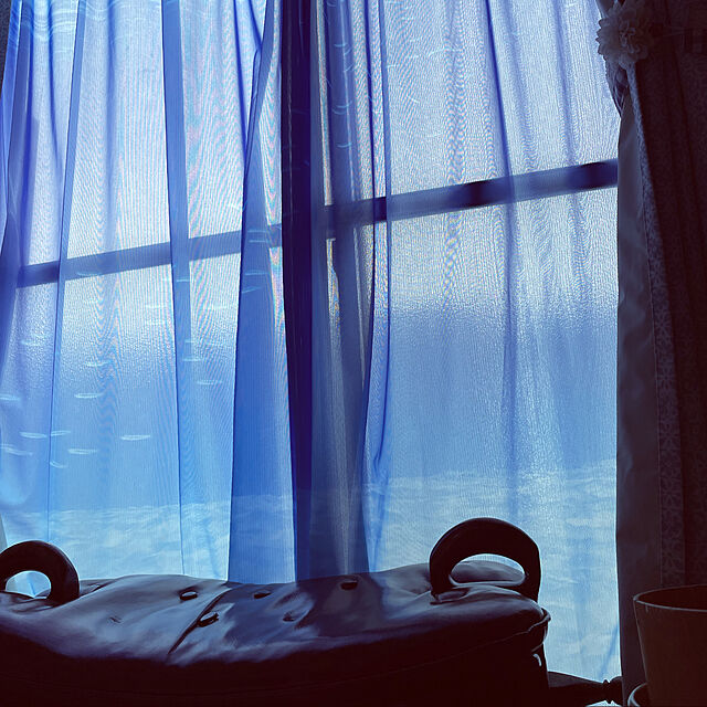 ManaShiのベルメゾン-[ベルメゾン] レースカーテン UVカット 海の中を映した ミラーレースカーテン 幅100 丈176（2枚）の家具・インテリア写真