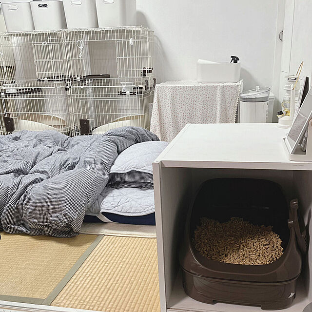 Atelier.mの-すのこシングルベッド ホワイトウォッシュ 【組立品】の家具・インテリア写真