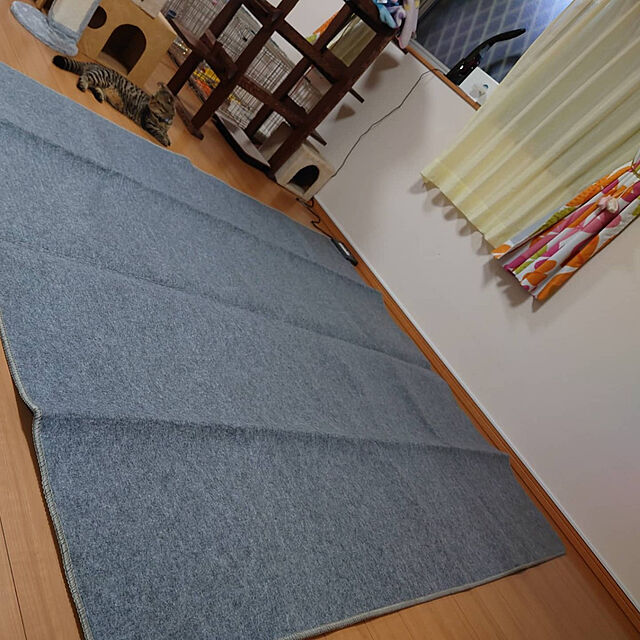 noguriのニトリ-ホットカーペット(I NT 3Jヨウ) の家具・インテリア写真