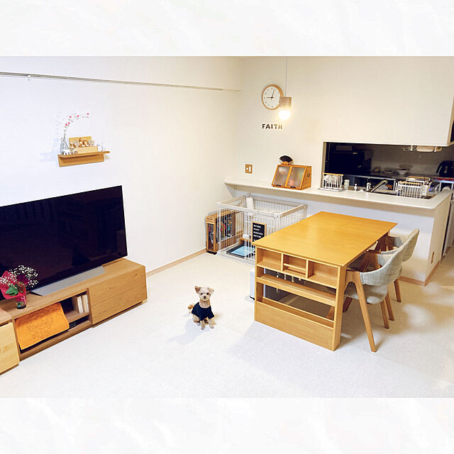 j1r0oのニトリ-【4枚以上で販売】吸着タイルカーペット(ポニームジIV 40X40) の家具・インテリア写真