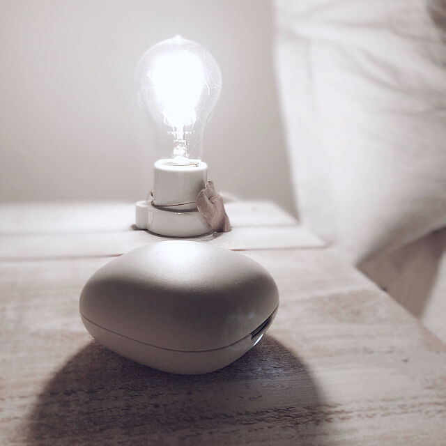 yuchiの-エジソン電球 Edison Bulb 40W “A-Shape（L）” エジソンバルブ"Aシェイプ(L)" エジソン球 電球 雑貨 おしゃれ インテリア レトロ アンティーク 白熱電球 E26 照明 カーボン電球 ライト ランプ クリアの家具・インテリア写真