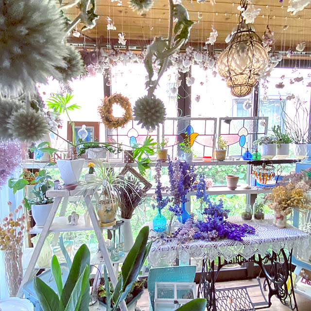 na-chanの-ハンギング ガラス ロープ付き エアプランツ 観葉植物 多肉植物 オブジェ アンティーク インテリア おしゃれな 送料無料の家具・インテリア写真