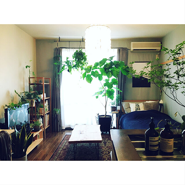 mirの-植木鉢 おしゃれ 天然木アカシアのウッドスタンド KT604-305 9号用 / ポットスタンドの家具・インテリア写真
