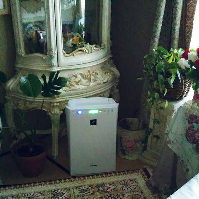 teddybearの-SHARP プラズマクラスター 空気清浄機 FU-D51-Wの家具・インテリア写真