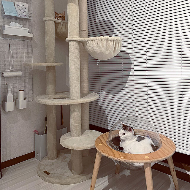 Hotateの-Mauタワーエシェル ハンモック スリム 突っ張り おしゃれ 人気 大型 キャットタワー 大型ねこタワー 大型猫据置き 送料無料 ポール直径9Φの家具・インテリア写真