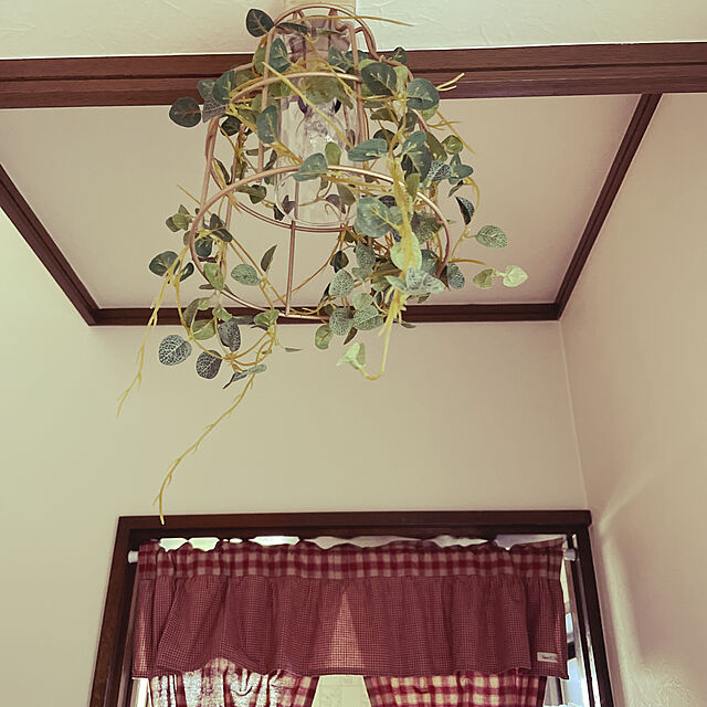 emiの-キシマ ボタニック シーリングライト Fittonia 1灯 フィットニア CC-40355 1台（直送品）の家具・インテリア写真