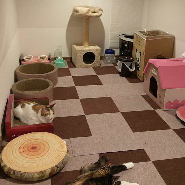 muumuの-エイムクリエイツ ミュー ガリガリサークル スクラッチャー インテリア 1個　猫用つめとぎの家具・インテリア写真