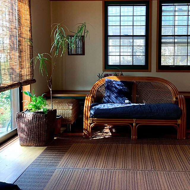 akeの-イケヒコ・コーポレーション 純国産 い草ラグカーペット シンプルモダン 『Fナール』 約191×191cmの家具・インテリア写真