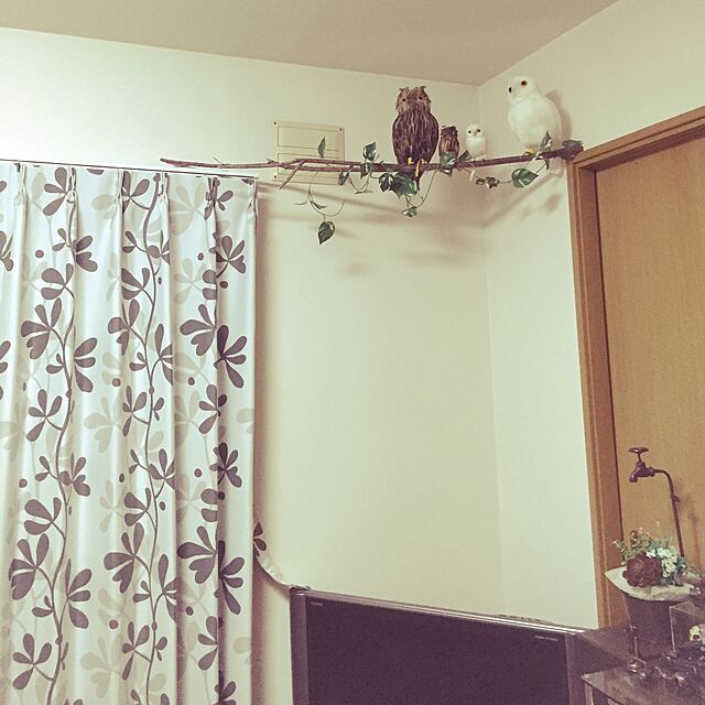 ZAKIの-PUEBCO Artificial Birds Owl White プエブコ アーティフィシャルバード フクロウ白 Sサイズの家具・インテリア写真