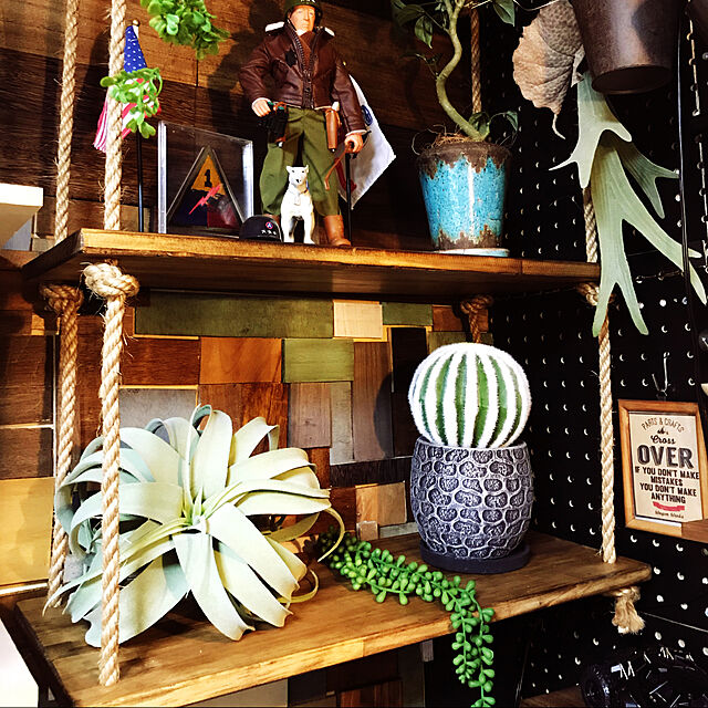 ayualohaのポッシュリビング-フェイクグリーン 造花 ハンギング おしゃれ 壁掛け 男前インテリア/コウモリランSの家具・インテリア写真