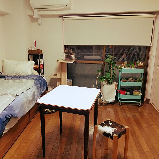 inumonuの無印良品-収納ベッド・スモール・ウォールナット材の家具・インテリア写真
