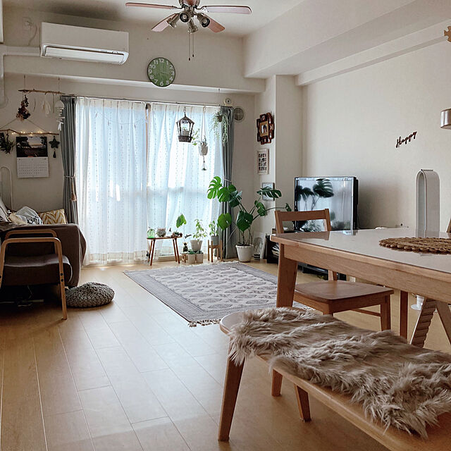 aiaiのニトリ-中身セット 腰当てにもなるアクセントクッション長方形(30x50cm) ANV010(Living in Comfort) の家具・インテリア写真