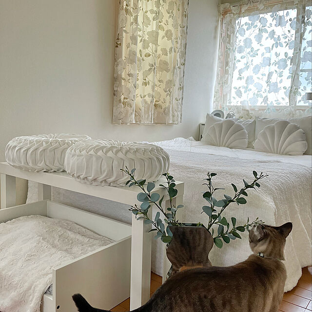 chieのイケア-LURVIG ルールヴィグ ペットのベッド クッション付きの家具・インテリア写真