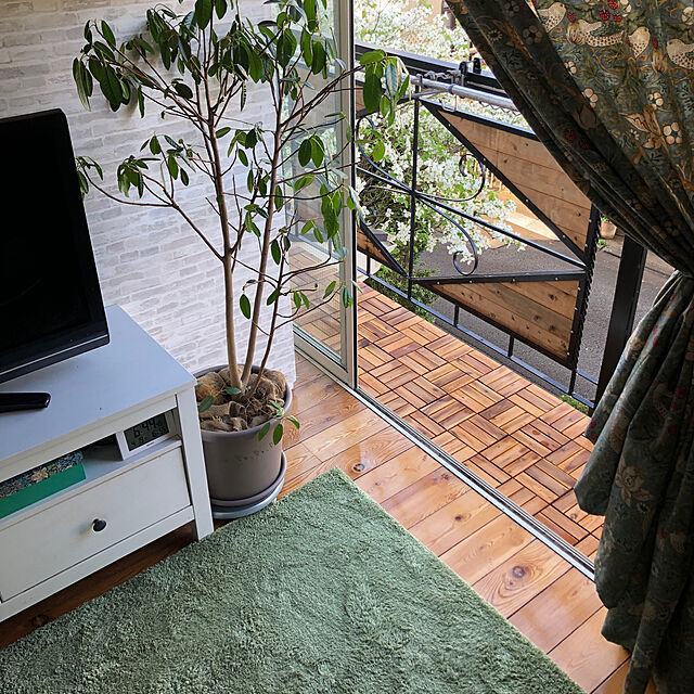 suzuranのイケヒコ・コーポレーション-ラグ　プリーム　【イケヒコ】の家具・インテリア写真
