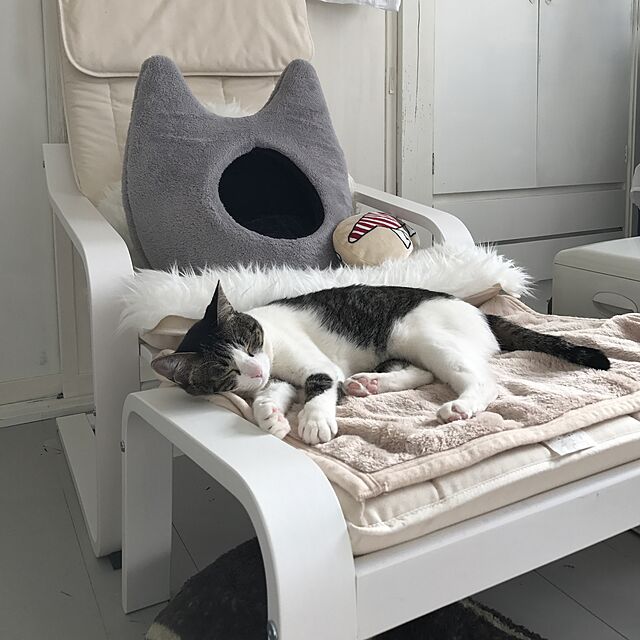 ShihoのBidear-【Momugs Akira】小型犬 猫 ベッド 小動物 兼用 ハウス 猫の耳みたい　軽量 持ち運び可能　グレーの家具・インテリア写真
