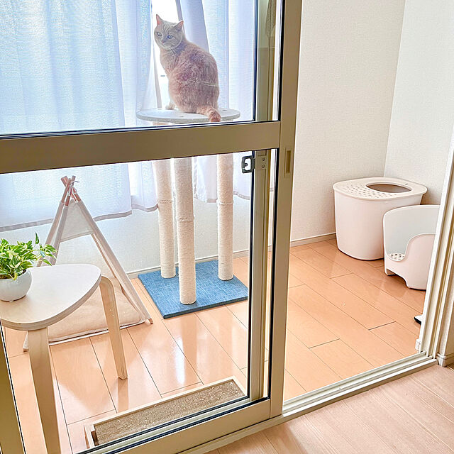 kiyomiのリッチェル-リッチェル 猫用トイレ本体 ラプレ 砂取りネコトイレ ホワイトの家具・インテリア写真