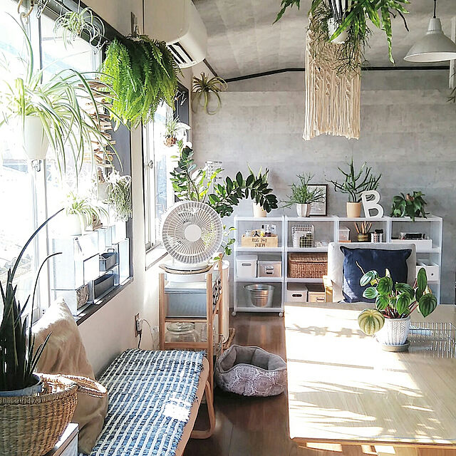 hira_muji_mihiの無印良品-素焼鉢の家具・インテリア写真