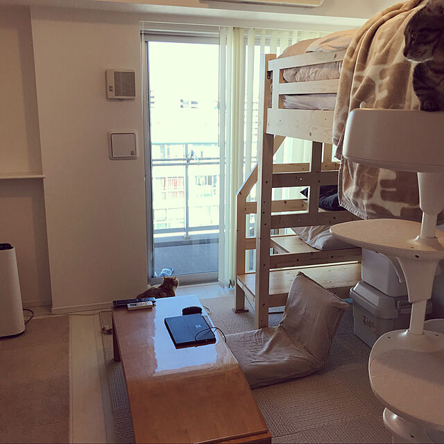 foxcave_nwのテラモト-オッポ (OPPO) キャットフォレスト ホワイトの家具・インテリア写真