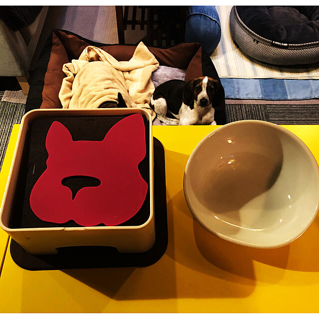 pecoのHARIO-ハリオ (HARIO) ショコラブラウン 小・中型犬用の家具・インテリア写真