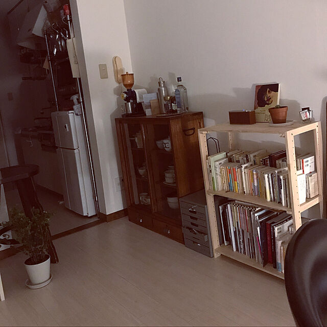 hanaの-【観葉植物】 バロック ベンジャミン 5号サイズ 【空気清浄】の家具・インテリア写真