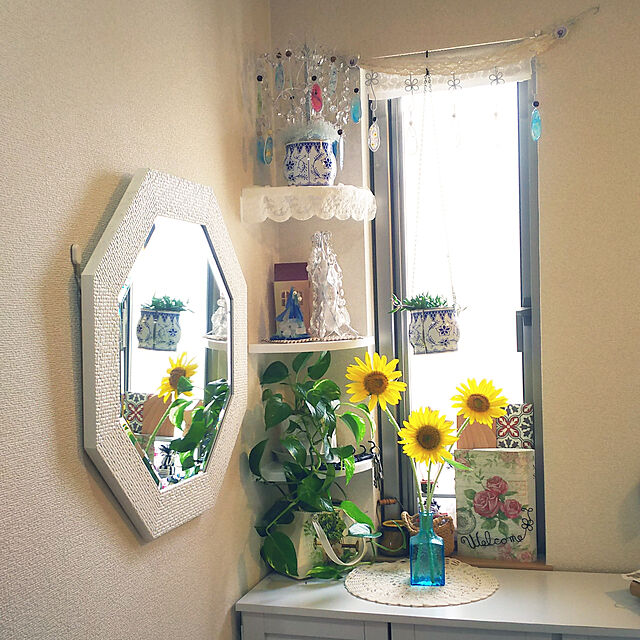 mmpoohの-ポトス ゴールデンポトス ライムポトス マーブル空気浄化観葉植物(生花)陶器鉢(プラ鉢皿付)の家具・インテリア写真