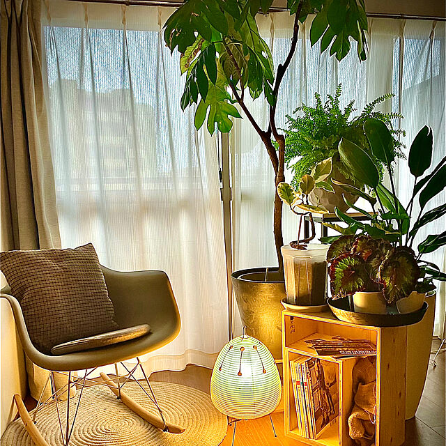 costellock78の-チャールズ&レイ・イームズ RARチェア イームズチェア Eames DAIVAの家具・インテリア写真
