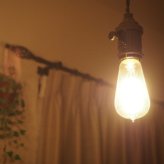 sun.の-【E26/40W-60W】 Edison Bulb “Signature ( S ) " / エジソンバルブ "シグネチャー（S）" E26 / 40W 電球 ライト 照明 ランプ 間接照明DETAIL【あす楽対応_東海】の家具・インテリア写真