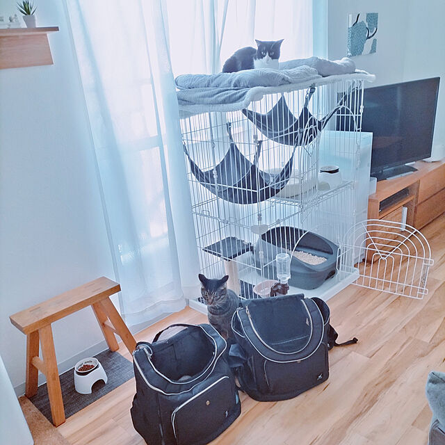 hihaのペティオ (Petio)-ペティオ (Petio) necoco ネココ リュックキャリー ブラック 猫用の家具・インテリア写真