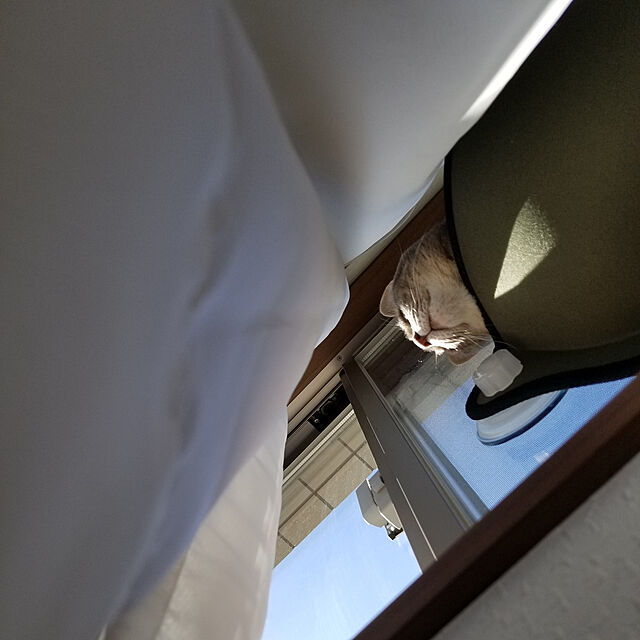 yukiの-K&amp;H　猫用　イージーマウント ウィンドウベッド　新吸盤タイプ　ブラウン　体重10kgまで　ガラス窓　ウインドウベッド　猫　茶色　GMPインターナショナルの家具・インテリア写真