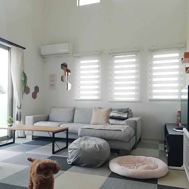 Tarutoのニトリ-ビーズソファカバー 標準サイズ専用カバー(NクールSP o-i) の家具・インテリア写真