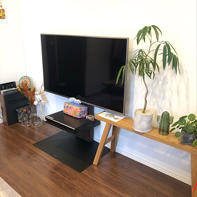 panakonicの株式会社ナカムラ-EQUALS イコールズ テレビ台 壁寄せテレビスタンド WALL V3 ロータイプ(2020モデル) 32～80V対応 ウォールナットの家具・インテリア写真