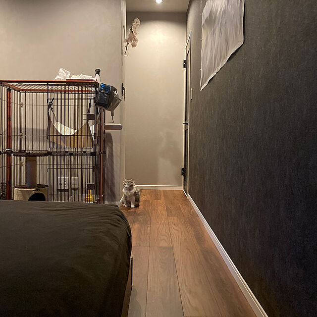 sakiのドギーマン-キャティーマン (CattyMan) スクラッチリビング コンパクトルームの家具・インテリア写真