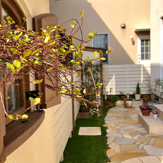 写真付きレビュー 敷石 アリスのトランプ 置くだけ おしゃれ ステップストーン 庭 飾り オブジェ かわいい 置物 ガーデニング タイル 踏み石 送料無料 の通販商品 口コミ情報 Roomclipショッピング