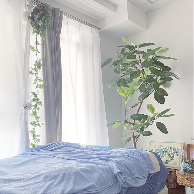 mitchonのニトリ-採光・遮像156サイズレースカーテン Nナチュレ(WV 100×158×2) の家具・インテリア写真