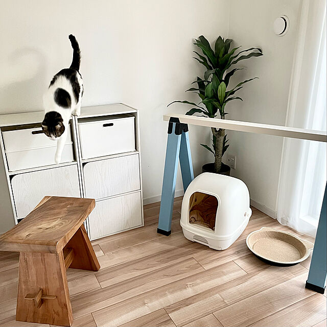 hemukoの大里-DIY-ID エラストマー ソーホース用 脚キャップ (ブラック)の家具・インテリア写真