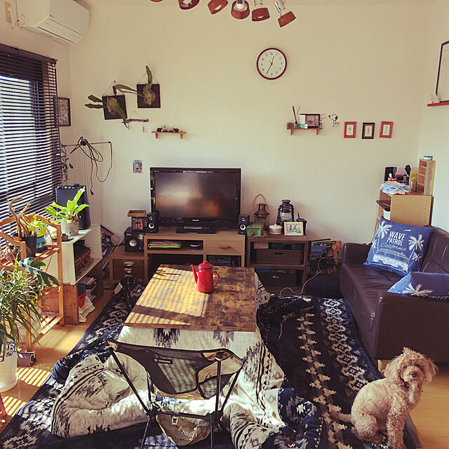 Erikaのニトリ-リビングこたつ(フロットN 120 MBR) の家具・インテリア写真