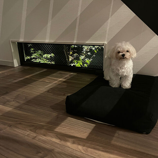 Hana...mamaの-【犬 ベッド】フリーステッチ　おしゃれ　マット　洗える　シンプル　日本製　リネン　夏コットン リネン スクエア ベッド M サイズ　犬用の家具・インテリア写真