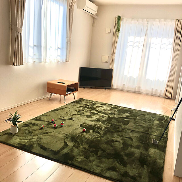 chiitamaのニトリ-ドラセナ28cm テラコッタポット の家具・インテリア写真