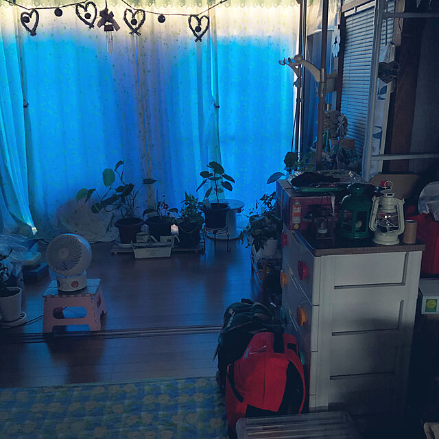 lilyのサントリー-【Amazon.co.jp限定】 Restock サントリー天然水 シュリンクパック(エコフィルム包装) 2L ×9本の家具・インテリア写真