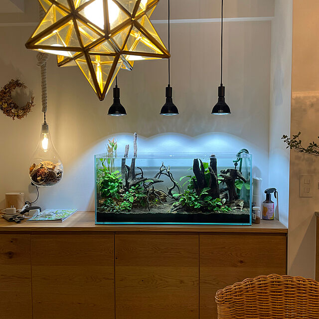 mayutakaの-【全国送料無料】BARRELバレル NEO AMATERAS LED 20W ネオアマテラス 20W 植物育成ライトの家具・インテリア写真
