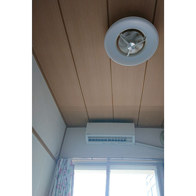 rikalynのニトリ-花粉キャッチカーテン(キャッチCローサ 100X178X2) の家具・インテリア写真
