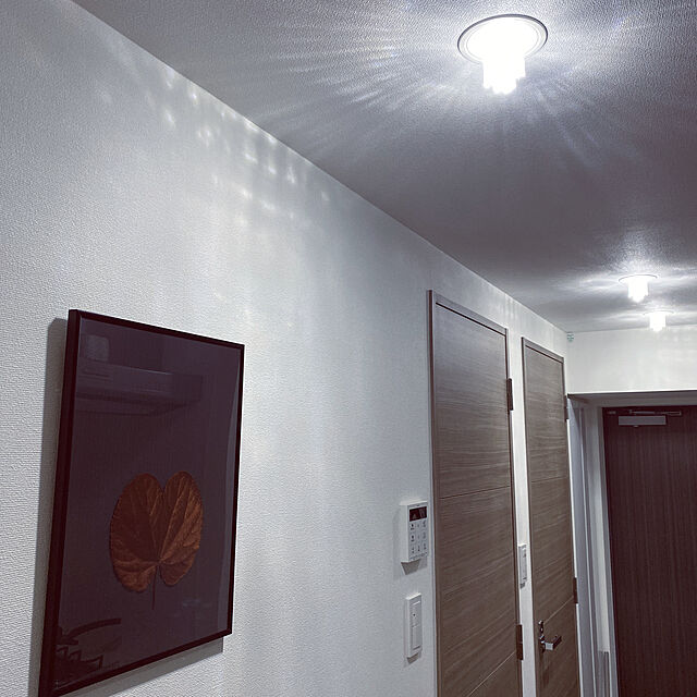 kaoruのアートプリントジャパン-A.P.J. アルミポスターフレーム/フィットフレーム ポスターサイズ（300×400mm）ブラックの家具・インテリア写真
