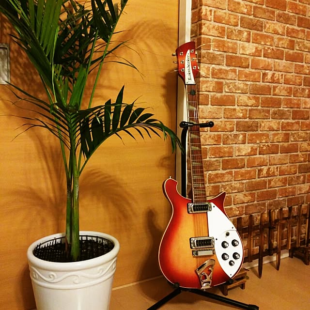 tacoma41のRickenbacker-Rickenbacker リッケンバッカー エレキギター 620 FGの家具・インテリア写真