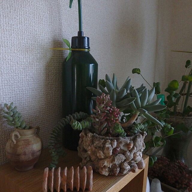 YUのディテール-LeafTie（リーフタイ）　エメラルドグリーン(小枝にみたてて可愛くひとまとめ！葉っぱ型のケーブル結束バンド　植物の家具・インテリア写真
