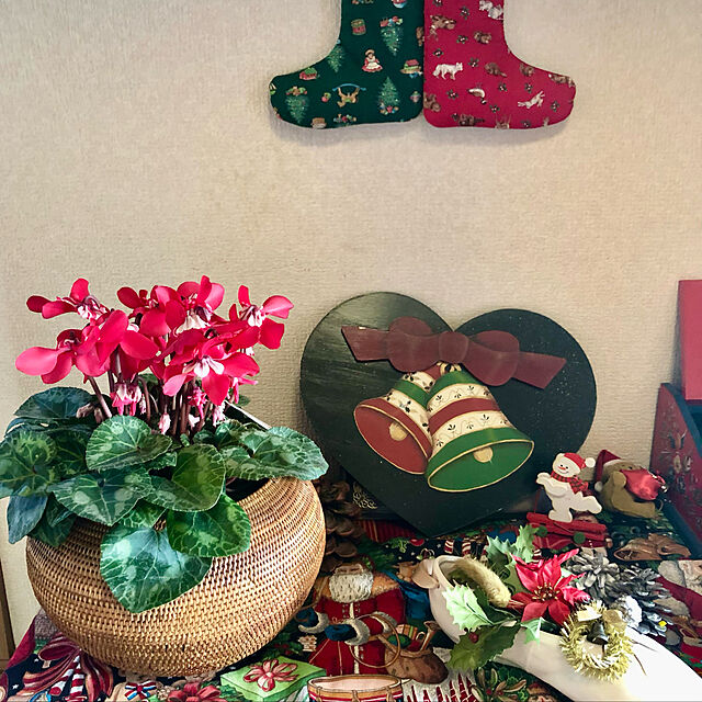 akのtabideai-ai-2023福袋　アタ製高級鉢カバー（花かご）と植物セットの家具・インテリア写真