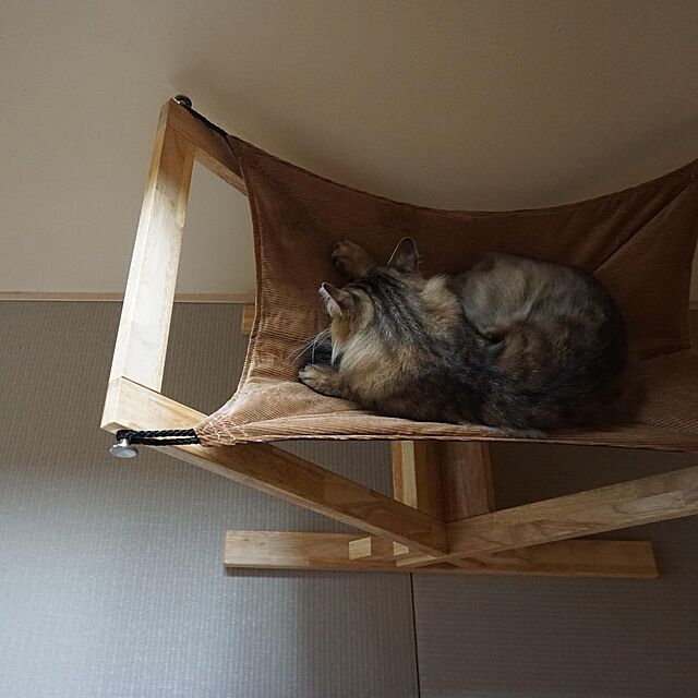 manew714の-【OFT】 キャットハンモック アドバンス [猫 ネコ ねこ ペット ベッド 木製 国産 日本製 夏 冬 おすすめ おしゃれ モダン シンプル インテリア 快適 工具不要 昼寝]の家具・インテリア写真